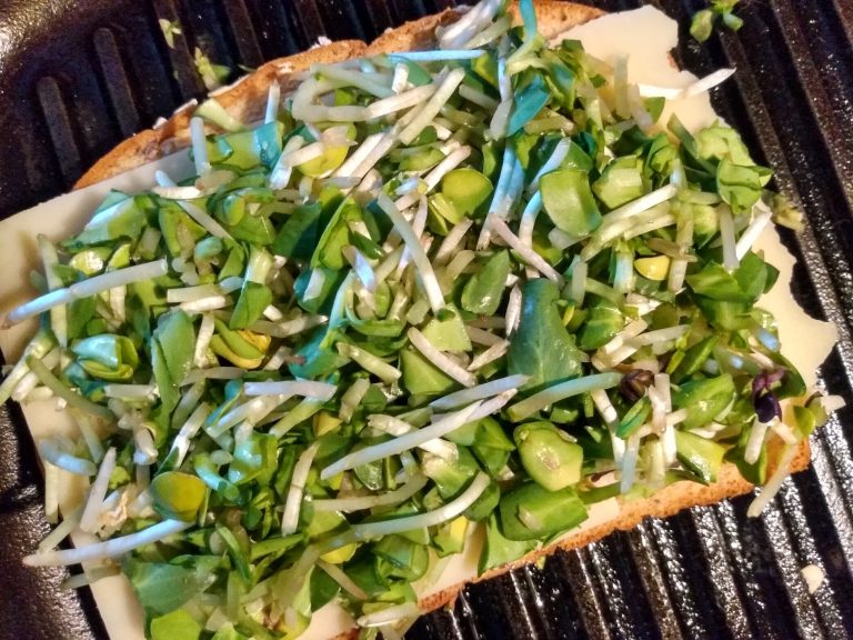 Sunflower Microgreen Recipes